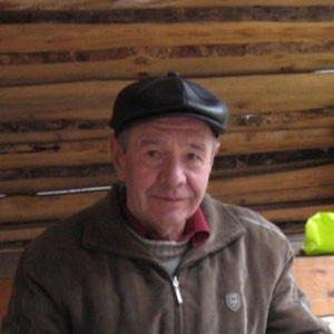 Шим, 75 лет, Белгород