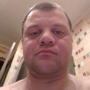 Алексей, 33 года, Тула