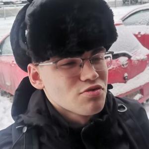 Михаил, 18 лет, Архангельск