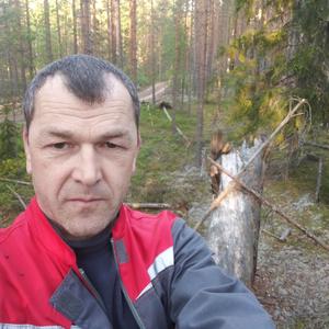 Вячислав, 49 лет, Приозерск