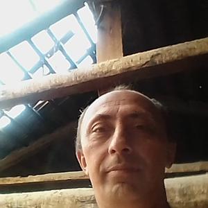 Василий Григорьев, 51 год, Миасс