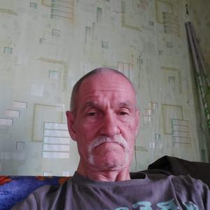 Сергий Димов, 67 лет, Красногородск