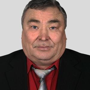 Александр, 66 лет, Казань