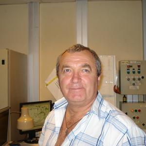 Александр Су, 67 лет, Электроугли