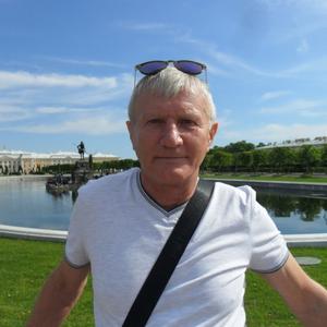 Николай Громенко, 66 лет, Сестрорецк