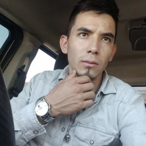 Fernando, 26 лет, Mxico Distrito Federal