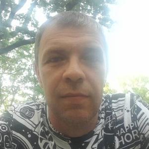 Кирилл, 47 лет, Саратов