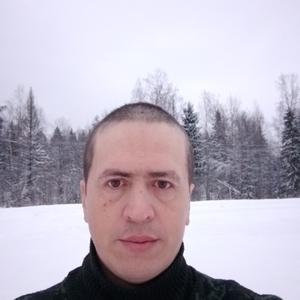 Дмитрий, 42 года, Тотьма