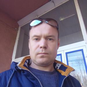 Сергей, 43 года, Шуя