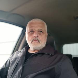 Алексей, 65 лет, Воронеж