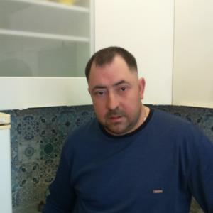Андрей, 43 года, Тула