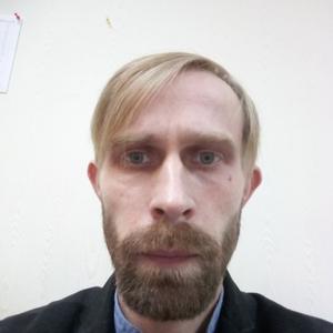 Антон Неганов, 37 лет, Пермь