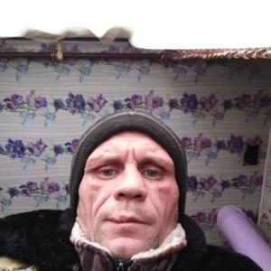 Парни в Богородицке: Владимир, 42 - ищет девушку из Богородицка