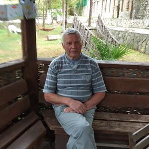 Юрий, 71 год, Миасс