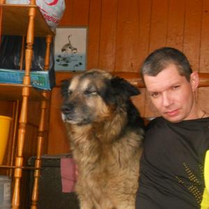 Алексей, 47 лет, Карабаш