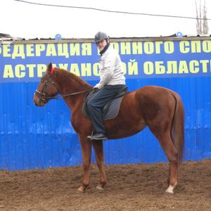 Николай, 62 года, Астрахань