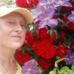 Галина, 62 года, Камышин