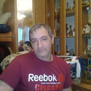 Андрей, 52 года, Кимовск