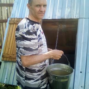 Павел, 54 года, Череповец