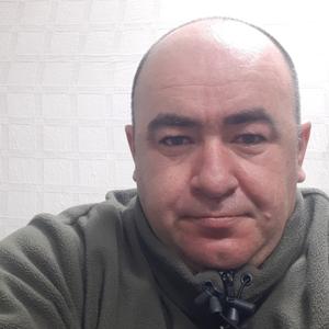 Владимир, 44 года, Суджа