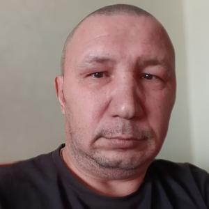 Александр, 44 года, Йошкар-Ола