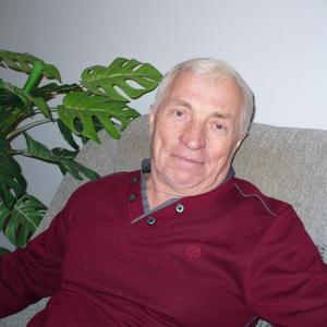 Александр Гришаевалександр, 78 лет, Тула