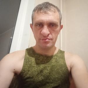 Евгений, 31 год, Курск