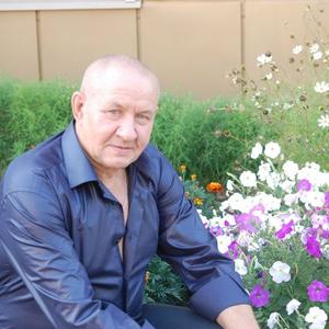 Анатолий Пушкарев, 75 лет, Можга