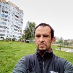 Михаил Герасимов, 44 года, Ярославль