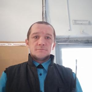 Андрей, 37 лет, Ярославль