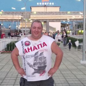 Андрей, 44 года, Волхов
