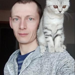 Алексей, 37 лет, Топчиха