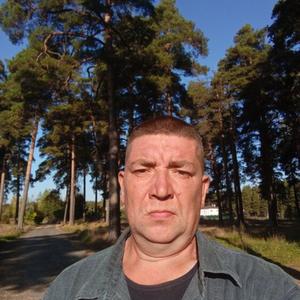 Николай, 45 лет, Владимир