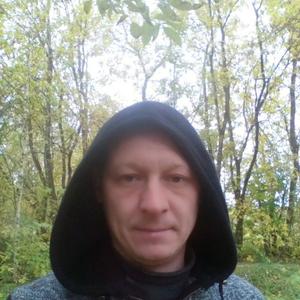 Алексей, 43 года, Кинешма