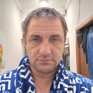Сергей, 53 года, Фрязино