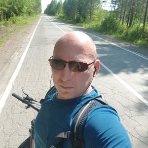 Алексей, 43 года, Североуральск