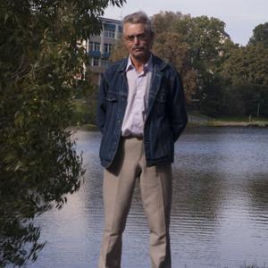 Владимир, 70 лет, Калининград