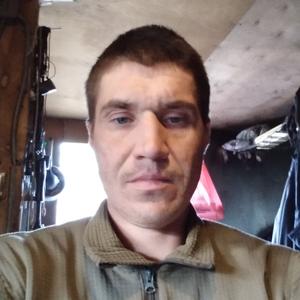 Санёк, 35 лет, Архангельск