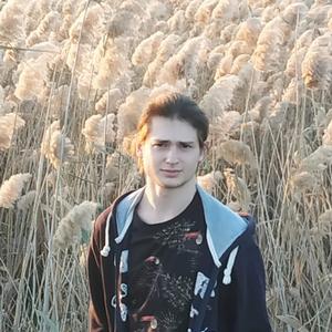 Ростислав, 25 лет, Ростов-на-Дону