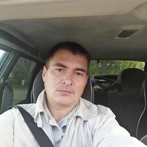 Виталий Мамич, 47 лет, Александров