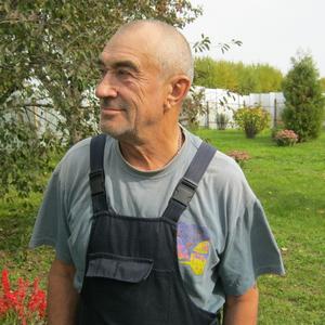 Владимир, 80 лет, Калуга