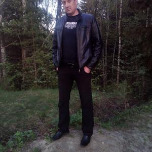 Алексей, 37 лет, Владимир