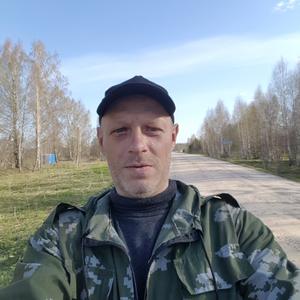 Денис, 45 лет, Ивантеевка