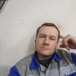 Юрий, 40 лет, Заринск