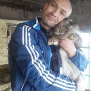 Владимир, 48 лет, Дубовка