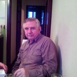 Анатолий, 73 года, Светлый