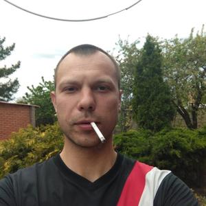 Александр, 37 лет, Донецк