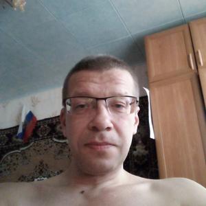 Владимир, 49 лет, Гусь-Хрустальный