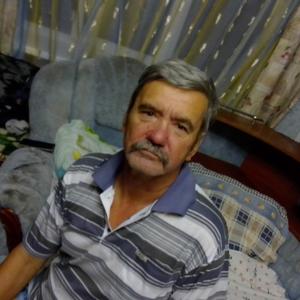 Владимир Николаевич, 70 лет, Волгоград