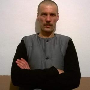 Юрий Боцман, 47 лет, Новотроицк